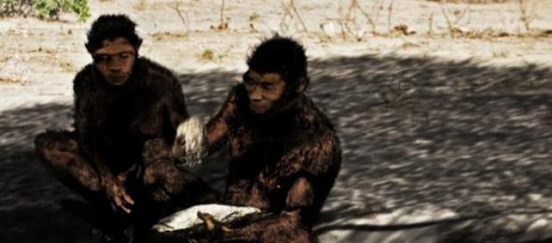 El Homo erectus fue antecesor de los neandertales El Homo erectus fue antecesor de los neandertales