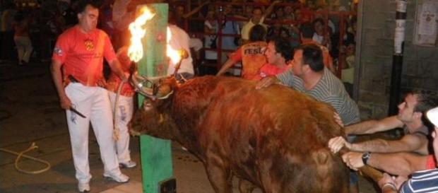 El toro embolao en Arañuel El toro embolao en Arañuel