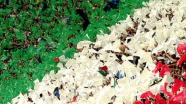 Il "vivo" tricolore dell'Italia che non si arrende