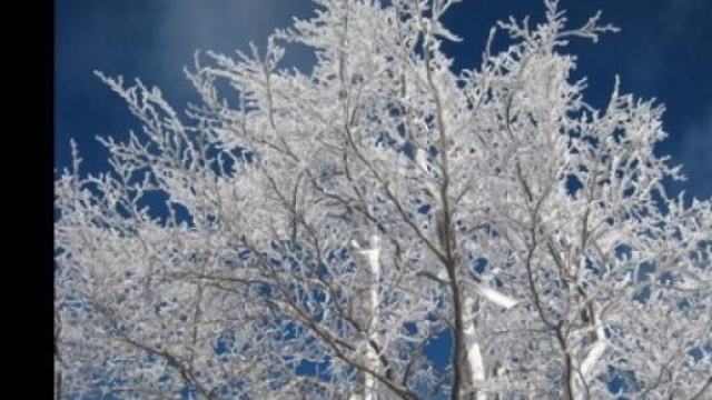 Previsioni meteo dal 6 all'8 dicembre 2014