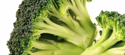 Brócoli aporta muchos beneficios a la salud