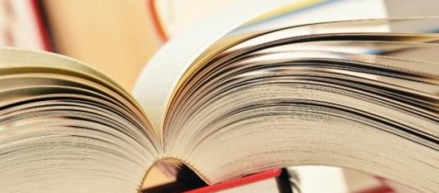 Festa do Livro traz preços acessíveis ao público Festa do Livro traz preços acessíveis ao público