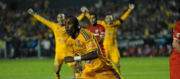 Los felinos, finalistas sin ganar Los felinos, finalistas sin ganar