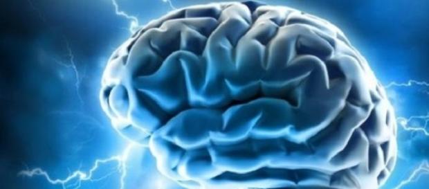 The power of our human brain The power of our human brain