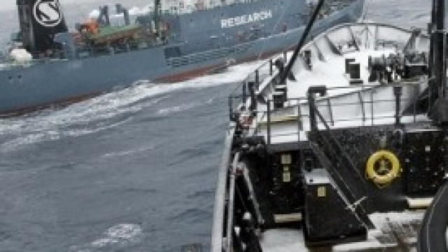 Navi giapponesi attaccano la Sea Shepherd