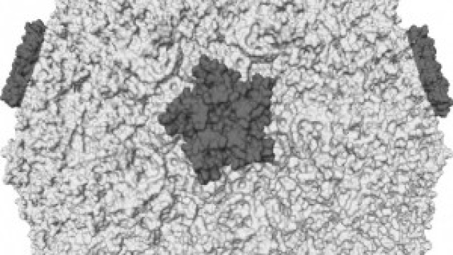 Raffreddore e naso chiuso: i rimedi naturali