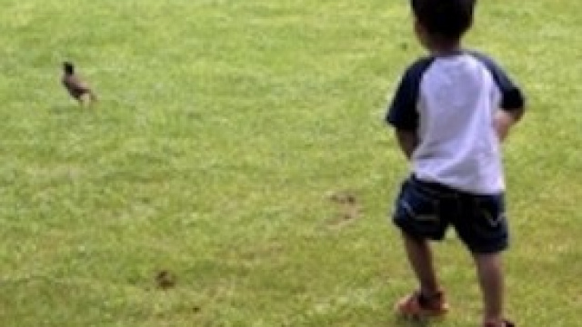 Strategie per combattere l'inappetenza dei bimbi