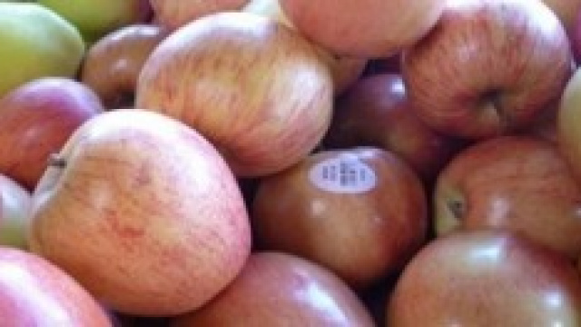 Festa del Papà: Torta di mele.