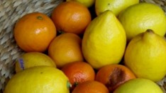 vitamina C, vitamina della salute