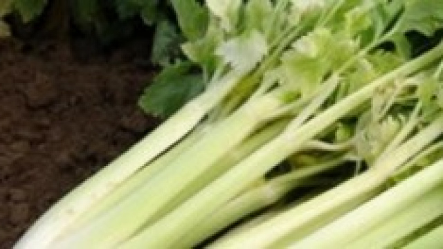 Le proprietà benefiche del sedano