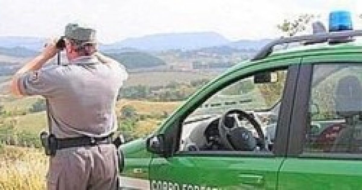 Guardia Forestale, indetto un concorso pubblico, ecco i requisiti per