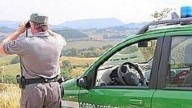 Corpo Forestale dello Stato, concorso pubblico