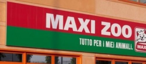 Possibilità di lavoro da Maxi Zoo