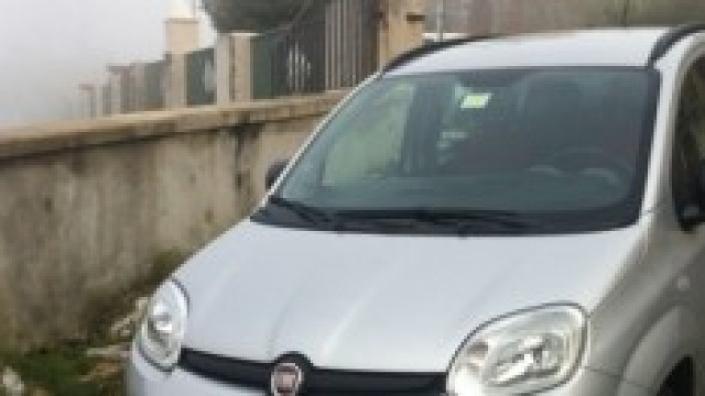 Panda Natural Power Easy - 2