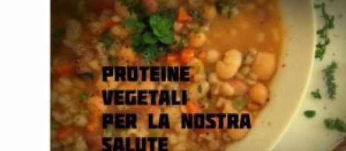 proteine vegetali per la nostra salute