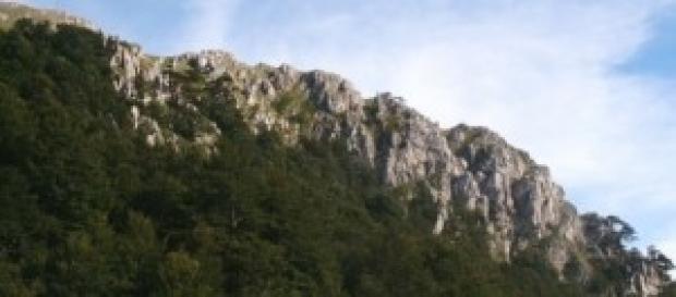 Scorcio del Parco del Pollino Scorcio del Parco del Pollino