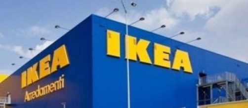 Ikea accusata di abbattere foreste secolari