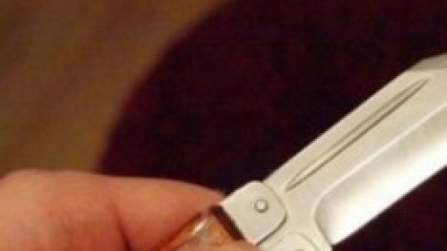 La donna ha ucciso le tre figlie con due coltelli.