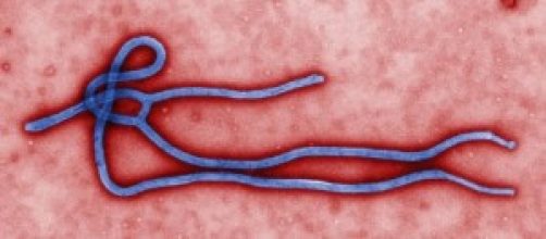 Ebola: che cos'è e quali sono i rischi