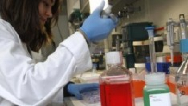 La fecondazione eterologa da oggi anche in Italia