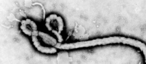 Virus Ebola, sintomi e contagio