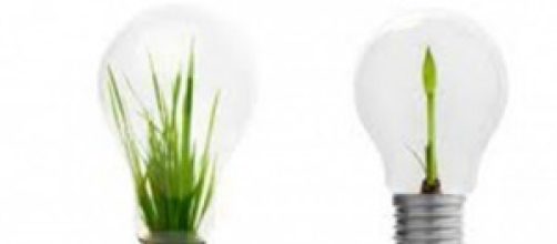 Riciclo lampadine basso consumo: campagna 2014