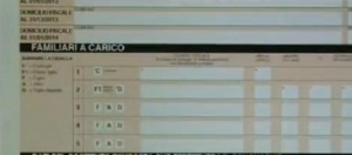 SCARICA NEL 730 ELETTRODOMESTICI