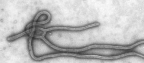 Virus Ebola l’allarme cresce