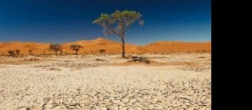 Desertificazione e cambiamenti climatici