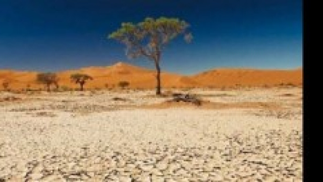 Desertificazione e cambiamenti climatici