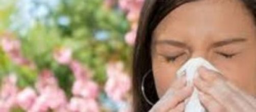 Allergie ai pollini: cosa sono, sintomi
