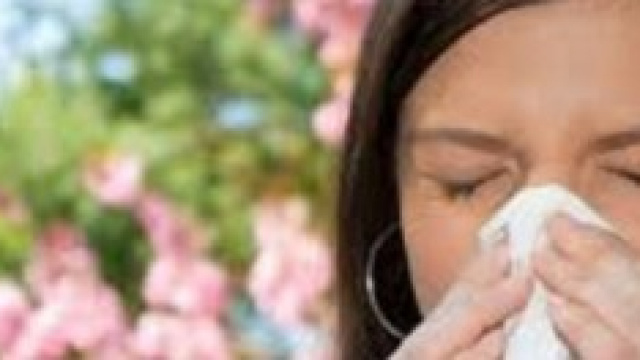 Allergie ai pollini: cosa sono, sintomi