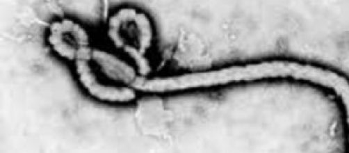  L'epidemia  di Ebola in Guinea spaventa l'Europa