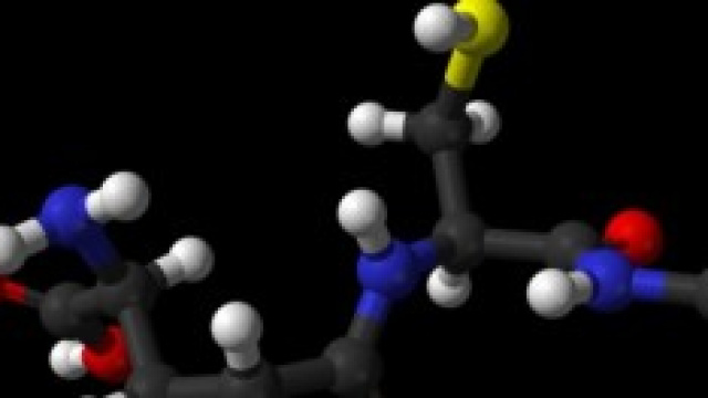 Glutatione:antiossidante prodotto dal nostro corpo