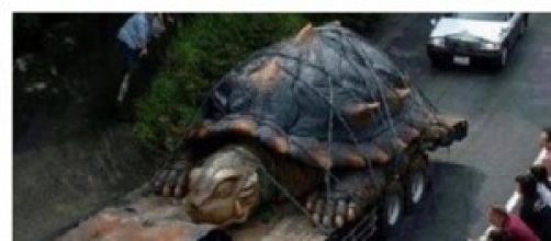 la tartaruga gigante fuoriuscita dall'Etna