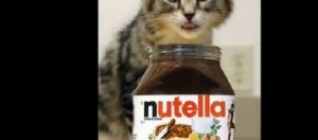 Concerto Nutella 18 maggio 2014 a Napoli. Concerto Nutella 18 maggio 2014 a Napoli.