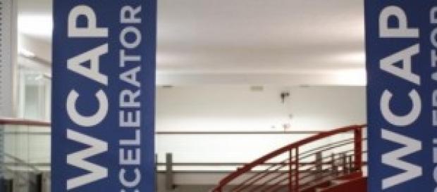 Ecco tutte le info sul progetto di Telecom Italia Ecco tutte le info sul progetto di Telecom Italia