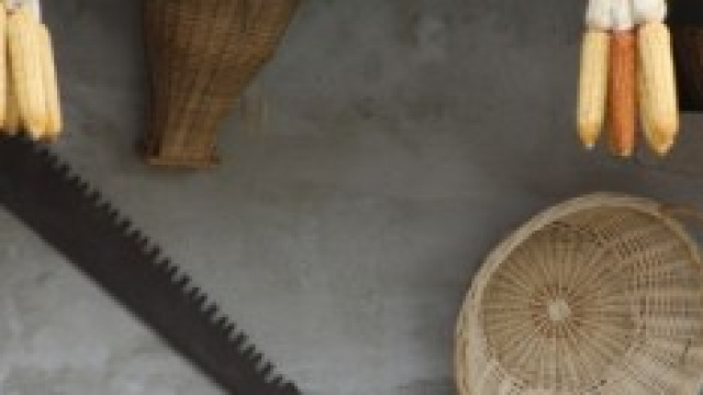 Dettagli agricoli di una azienda.