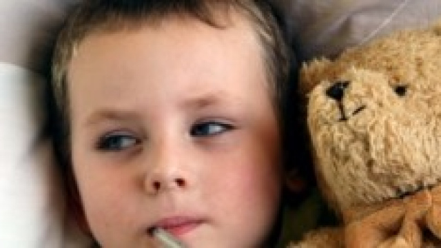 Influenza 2014: bilancio finale