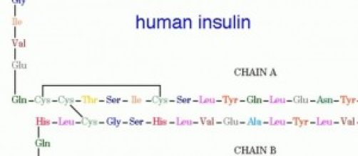Nella foto, l'ormone insulina.