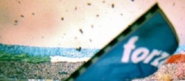 Stadio e tifosi del Napoli Stadio e tifosi del Napoli