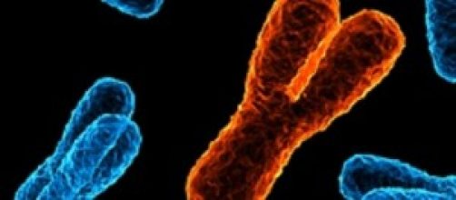 Genetica, annuncio choc sul cromosoma Y