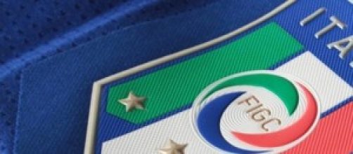 Stemma dell'Italia sulle maglie ufficiali