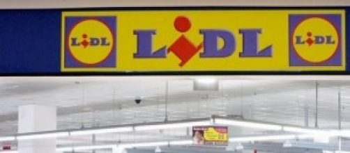 Offerte lavoro, Lidl: aperte oltre 200 assunzioni