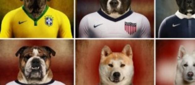 Selecciones del Mundial caninas Selecciones del Mundial caninas