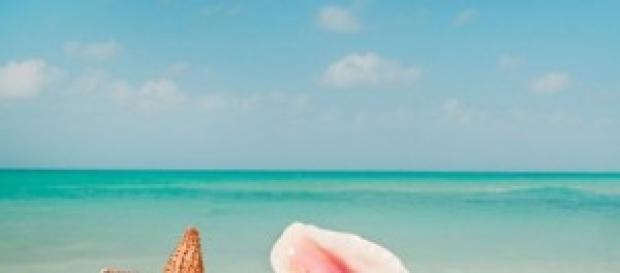 Vacanze estive 2014 low cost Vacanze estive 2014 low cost