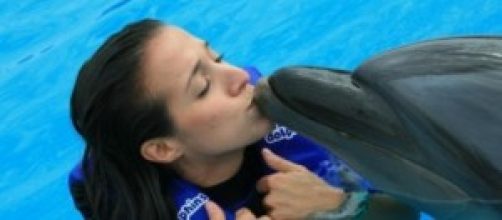 scienziata afferma di aver fatto sesso con delfino
