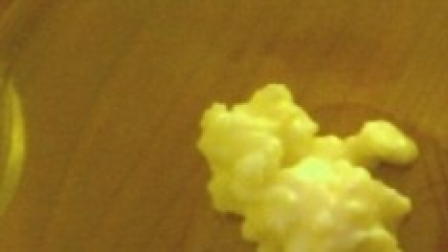 grani di kefir necessario per fare lo yogurt