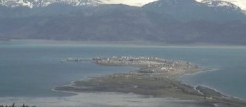webcam della baia dell'Alaska
