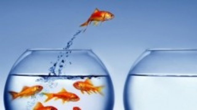 Graduatorie ad esaurimento: scioglimento riserva